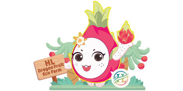 HL Dragon Fruit Eco Farm