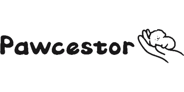 p logo